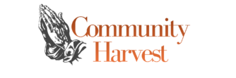 cropped grey and orange icon true white.png